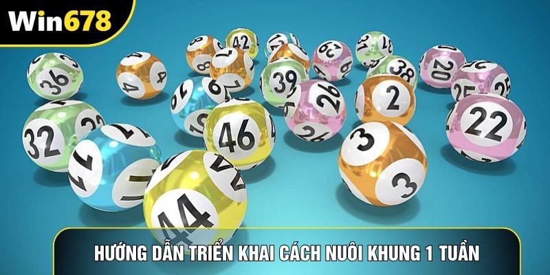 Hướng dẫn triển khai cách nuôi khung 1 tuần