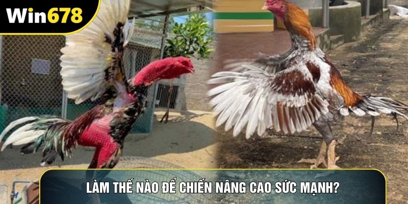 Làm thế nào để chiến nâng cao sức mạnh?