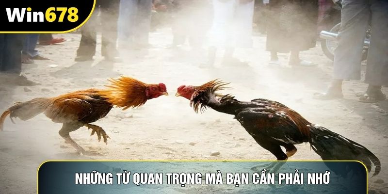Những từ quan trọng mà bạn cần phải nhớ