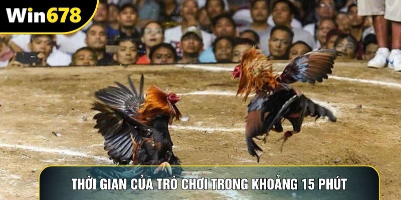 Thời gian của trò chơi trong khoảng 15 phút